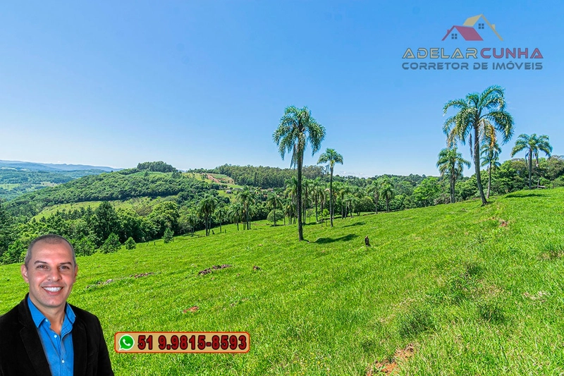 Sítio de 5.2 hectares à VENDA em Três Coroas - RS: 18ª foto da galeria de imagens do imóvel