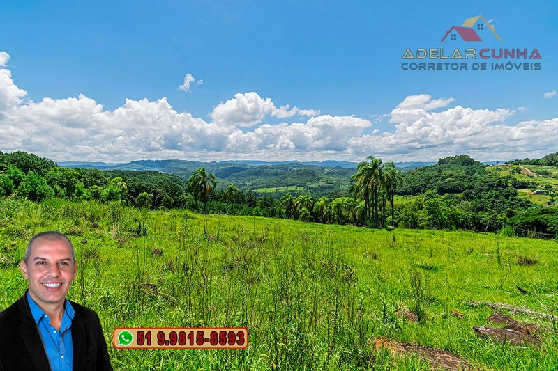Sítio de 2.2 hectares à VENDA em Três Coroas - RS : 54ª foto da galeria de imagens do imóvel