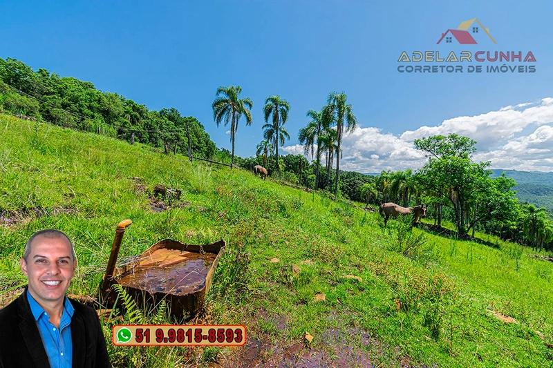 Sítio de 2.2 hectares à VENDA em Três Coroas - RS : 30ª foto da galeria de imagens do imóvel