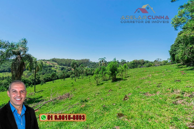 Sítio de 5.2 hectares à VENDA em Três Coroas - RS: 12ª foto da galeria de imagens do imóvel