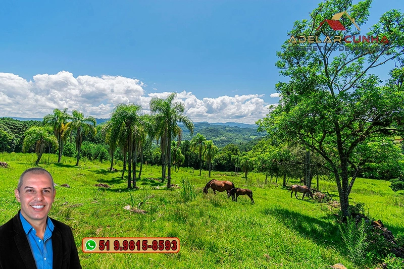 Sítio de 2.2 hectares à VENDA em Três Coroas - RS : 36ª foto da galeria de imagens do imóvel