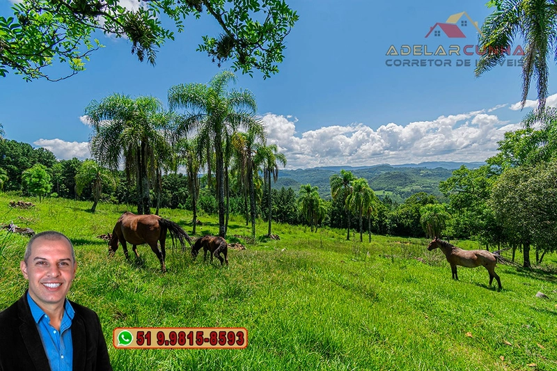 Sítio de 2.2 hectares à VENDA em Três Coroas - RS : 37ª foto da galeria de imagens do imóvel