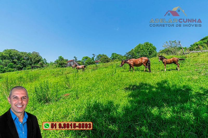 Sítio de 2.2 hectares à VENDA em Três Coroas - RS : 33ª foto da galeria de imagens do imóvel