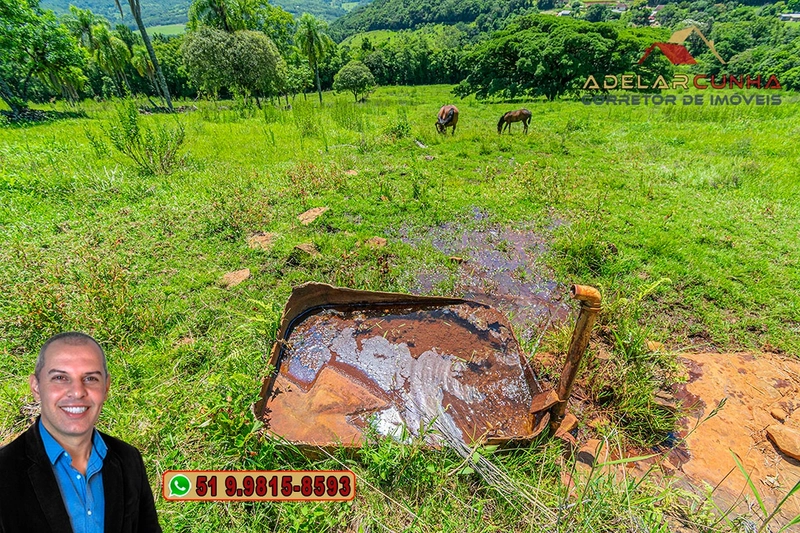 Sítio de 2.2 hectares à VENDA em Três Coroas - RS : 29ª foto da galeria de imagens do imóvel