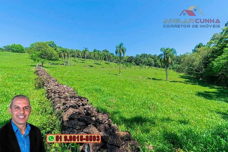 Sítio de 5.2 hectares à VENDA em Três Coroas - RS: 3ª foto da galeria de imagens do imóvel