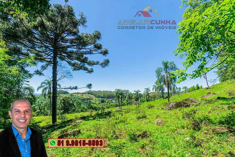 Sítio de 5.2 hectares à VENDA em Três Coroas - RS: 14ª foto da galeria de imagens do imóvel