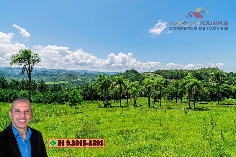 Sítio de 2.2 hectares à VENDA em Três Coroas - RS : 50ª foto da galeria de imagens do imóvel