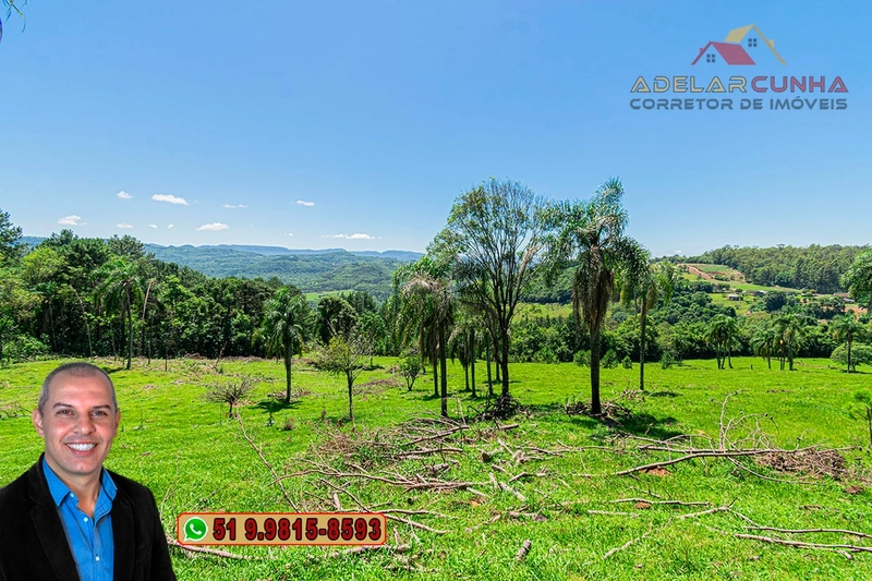 Sítio de 5.2 hectares à VENDA em Três Coroas - RS: 11ª foto da galeria de imagens do imóvel