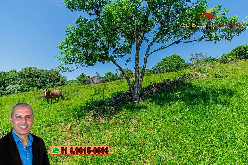 Sítio de 2.2 hectares à VENDA em Três Coroas - RS : 35ª foto da galeria de imagens do imóvel
