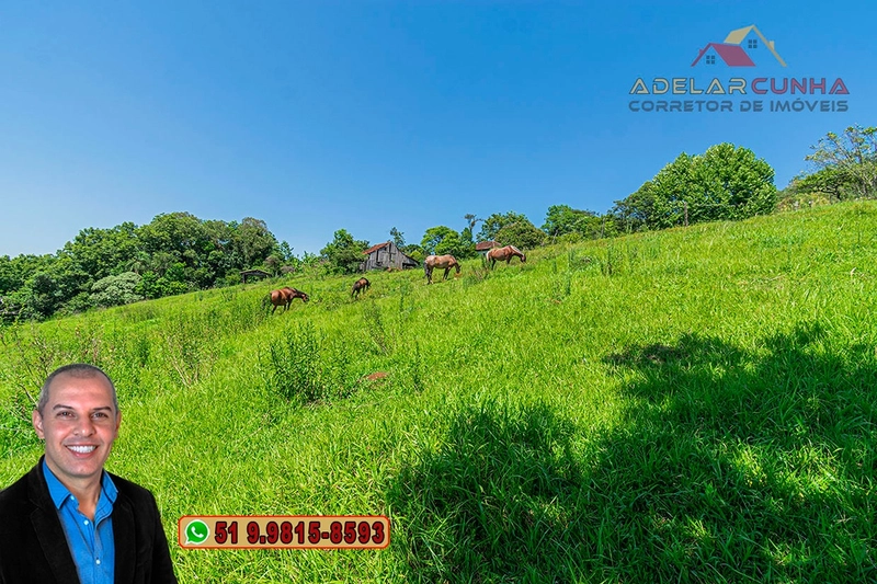 Sítio de 2.2 hectares à VENDA em Três Coroas - RS : 34ª foto da galeria de imagens do imóvel