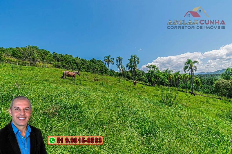 Sítio de 2.2 hectares à VENDA em Três Coroas - RS : 25ª foto da galeria de imagens do imóvel