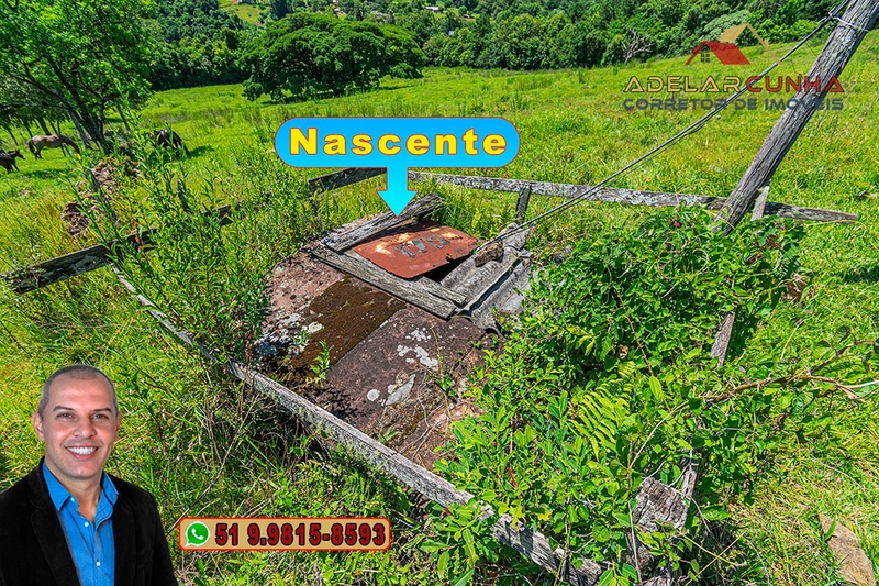 Sítio de 2.2 hectares à VENDA em Três Coroas - RS : 31ª foto da galeria de imagens do imóvel