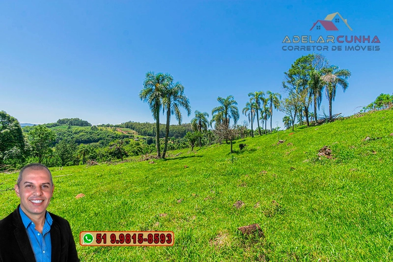 Sítio de 5.2 hectares à VENDA em Três Coroas - RS: 15ª foto da galeria de imagens do imóvel