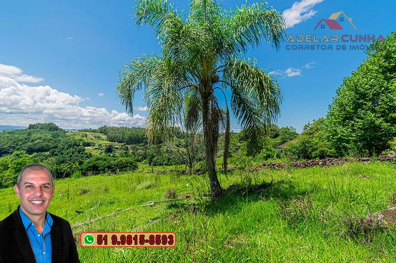 Sítio de 2.2 hectares à VENDA em Três Coroas - RS : 53ª foto da galeria de imagens do imóvel