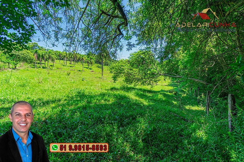 Sítio de 2.2 hectares à VENDA em Três Coroas - RS : 42ª foto da galeria de imagens do imóvel