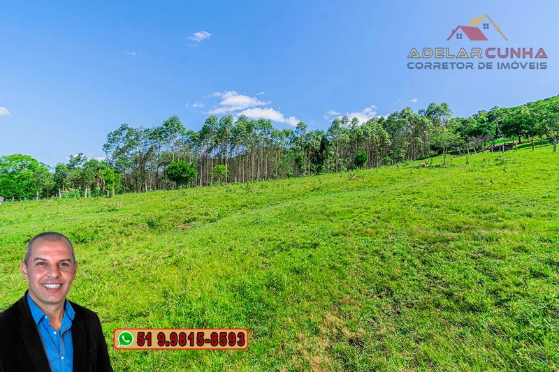 Chácara de 2 hectares à VENDA em Igrejinha - RS: 36ª foto da galeria de imagens do imóvel