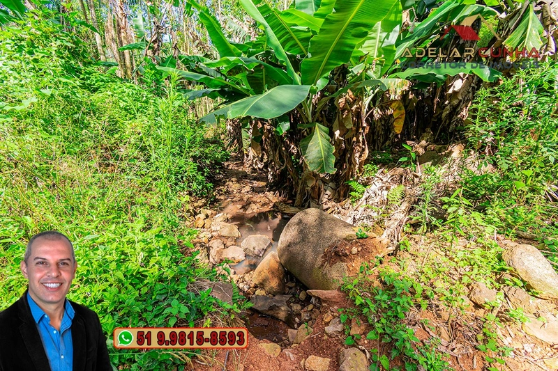 Chácara de 2 hectares à VENDA em Igrejinha - RS: 46ª foto da galeria de imagens do imóvel