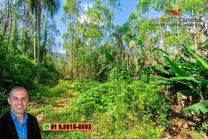 Chácara de 2 hectares à VENDA em Igrejinha - RS: 45ª foto da galeria de imagens do imóvel