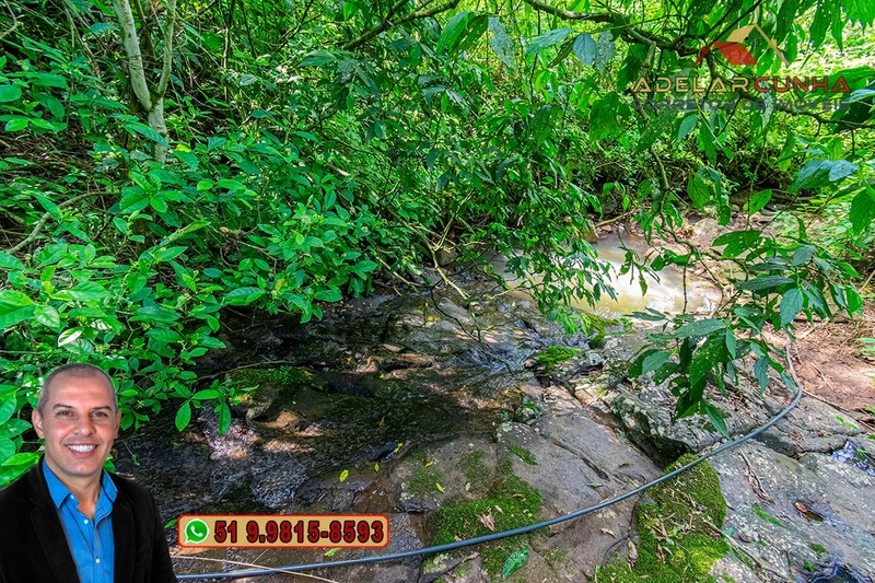 Chácara de 2 hectares à VENDA em Igrejinha - RS: 48ª foto da galeria de imagens do imóvel