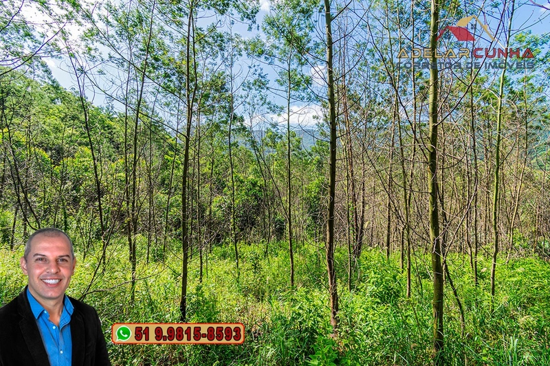 Chácara de 2 hectares à VENDA em Igrejinha - RS: 52ª foto da galeria de imagens do imóvel