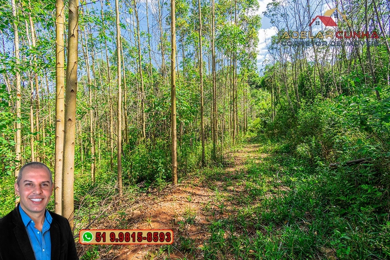 Chácara de 2 hectares à VENDA em Igrejinha - RS: 44ª foto da galeria de imagens do imóvel