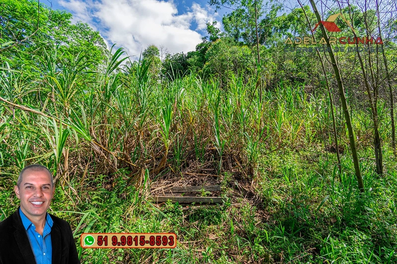 Chácara de 2 hectares à VENDA em Igrejinha - RS: 53ª foto da galeria de imagens do imóvel
