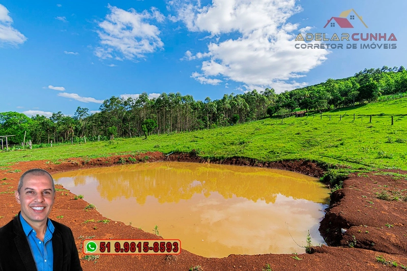 Chácara de 2 hectares à VENDA em Igrejinha - RS: 35ª foto da galeria de imagens do imóvel