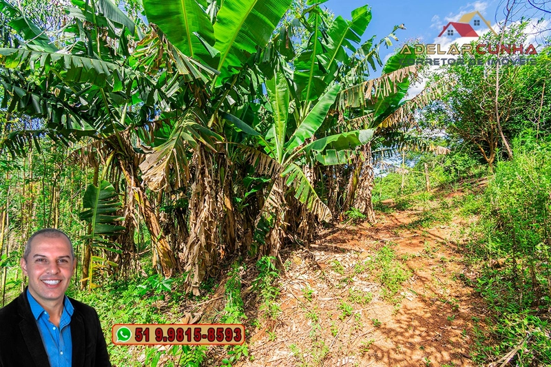 Chácara de 2 hectares à VENDA em Igrejinha - RS: 49ª foto da galeria de imagens do imóvel