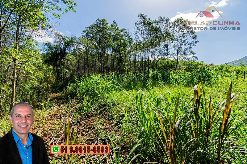Chácara de 2 hectares à VENDA em Igrejinha - RS: 43ª foto da galeria de imagens do imóvel
