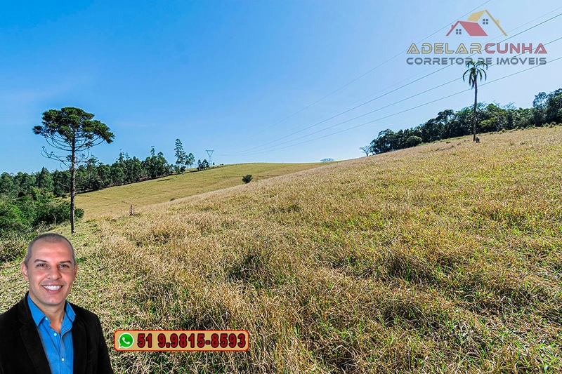 Sítio de 18 hectares com 2 Casas à VENDA em Parobé - RS: 19ª foto da galeria de imagens do imóvel