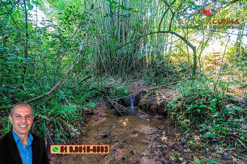 Sítio de 18 hectares com 2 Casas à VENDA em Parobé - RS: 34ª foto da galeria de imagens do imóvel