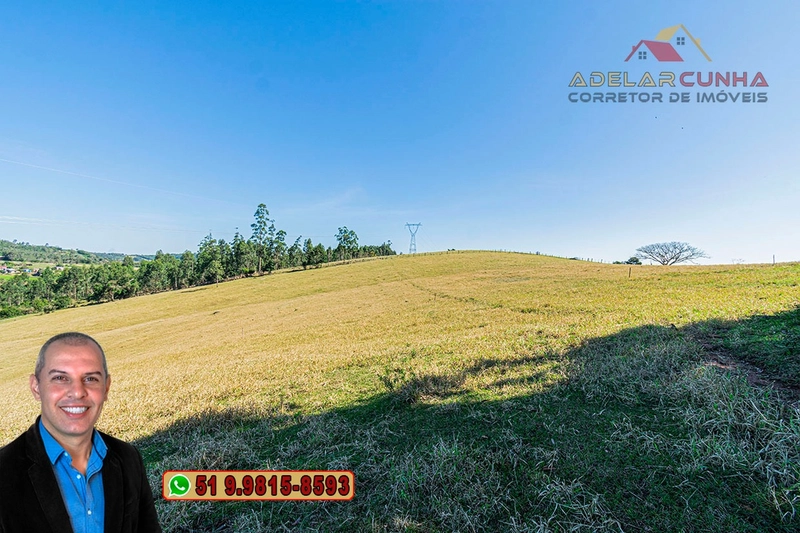 Sítio de 18 hectares com 2 Casas à VENDA em Parobé - RS: 13ª foto da galeria de imagens do imóvel