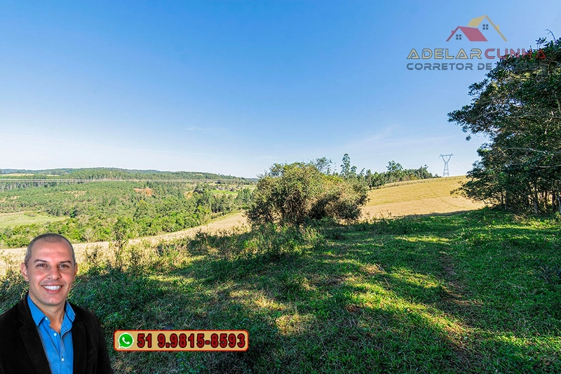 Sítio de 18 hectares com 2 Casas à VENDA em Parobé - RS: 14ª foto da galeria de imagens do imóvel