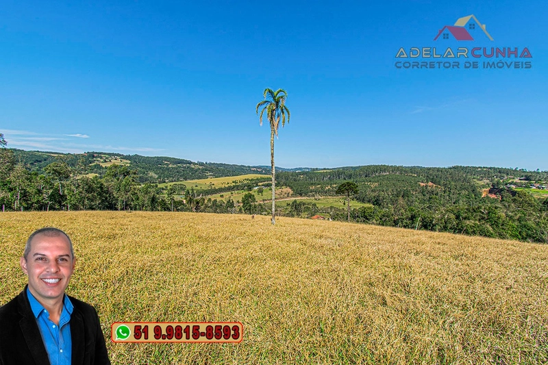Sítio de 18 hectares com 2 Casas à VENDA em Parobé - RS: 21ª foto da galeria de imagens do imóvel