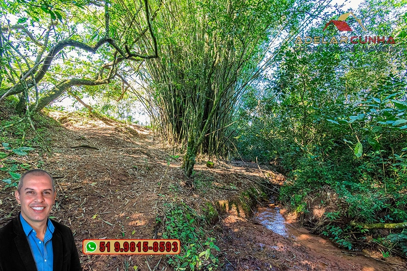 Sítio de 18 hectares com 2 Casas à VENDA em Parobé - RS: 32ª foto da galeria de imagens do imóvel