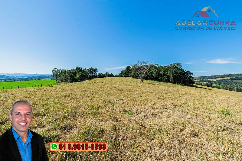 Sítio de 18 hectares com 2 Casas à VENDA em Parobé - RS: 6ª foto da galeria de imagens do imóvel