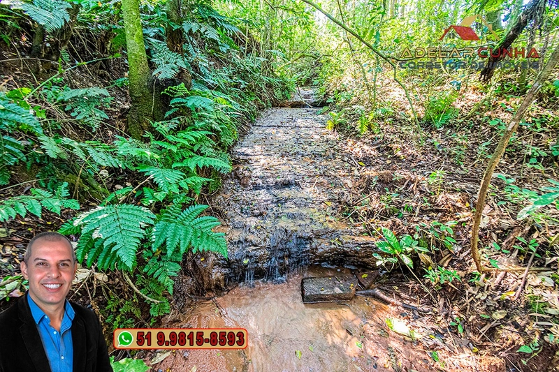 Sítio de 18 hectares com 2 Casas à VENDA em Parobé - RS: 31ª foto da galeria de imagens do imóvel