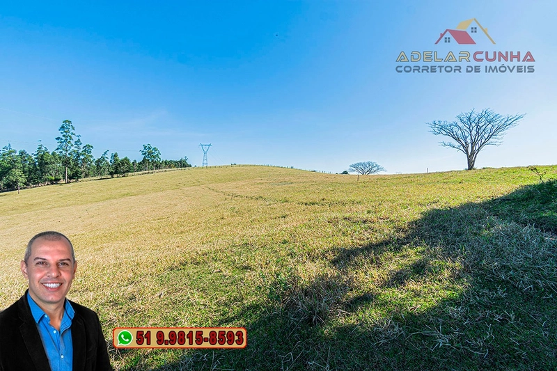 Sítio de 18 hectares com 2 Casas à VENDA em Parobé - RS: 12ª foto da galeria de imagens do imóvel