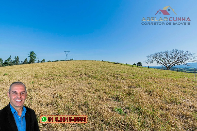 Sítio de 18 hectares com 2 Casas à VENDA em Parobé - RS: 8ª foto da galeria de imagens do imóvel