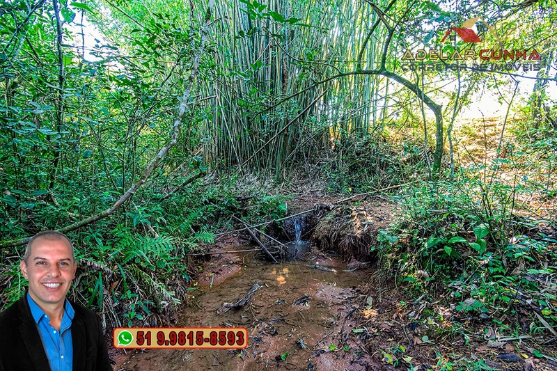 Sítio de 18 hectares com 2 Casas à VENDA em Parobé - RS: 34ª foto da galeria de imagens do imóvel