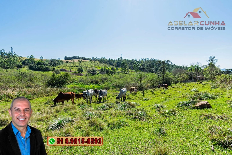 Sítio de 18 hectares com 2 Casas à VENDA em Parobé - RS: 39ª foto da galeria de imagens do imóvel
