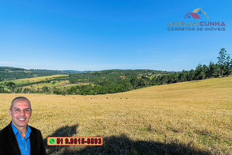 Sítio de 18 hectares com 2 Casas à VENDA em Parobé - RS: 16ª foto da galeria de imagens do imóvel