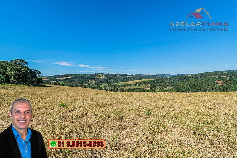 Sítio de 18 hectares com 2 Casas à VENDA em Parobé - RS: 5ª foto da galeria de imagens do imóvel