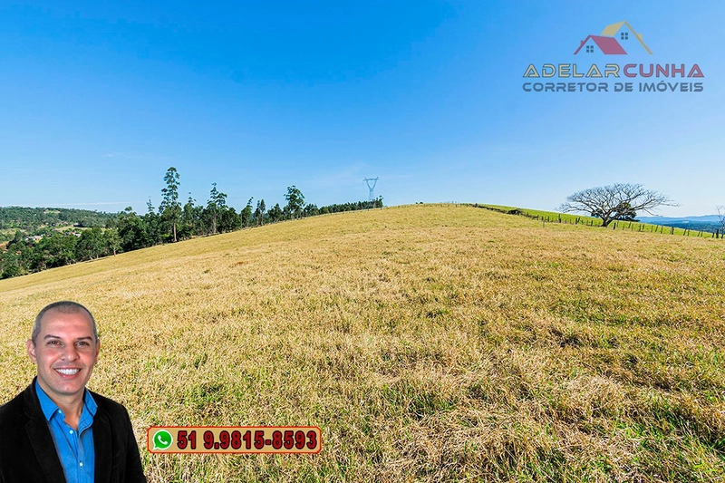 Sítio de 18 hectares com 2 Casas à VENDA em Parobé - RS: 9ª foto da galeria de imagens do imóvel