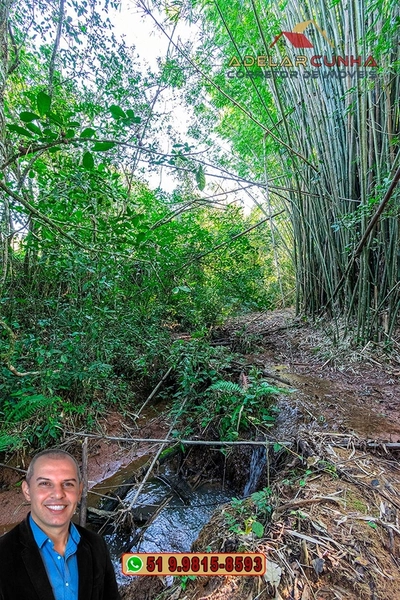 Chácara de 2 ha à VENDA em Parobé. Com opção de adquirir lote com casa!: 8ª foto da galeria de imagens do imóvel