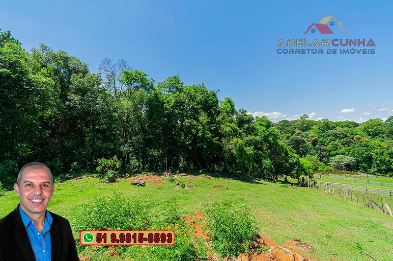 Chácara 2.6 hectares à VENDA em Três Coroas - RS : 16ª foto da galeria de imagens do imóvel