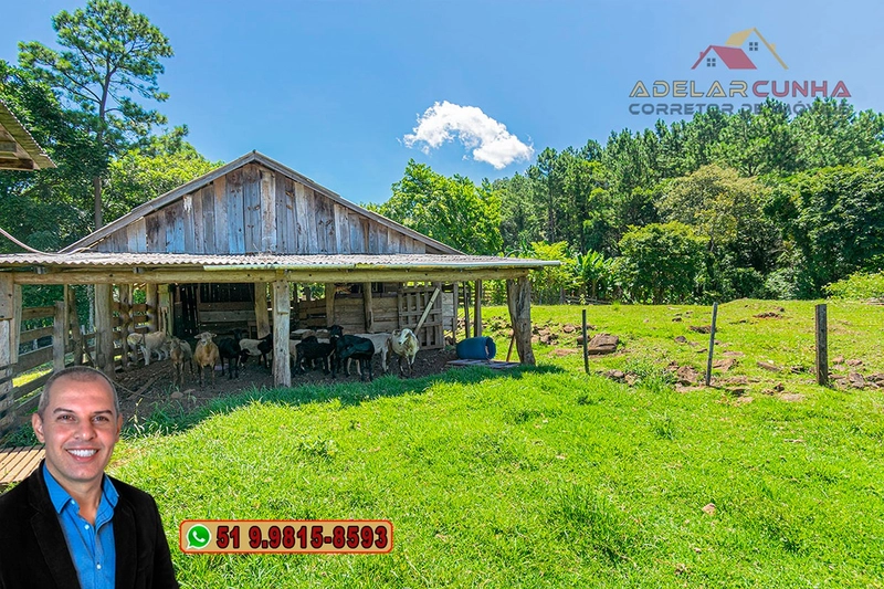 Chácara 2.6 hectares à VENDA em Três Coroas - RS : 10ª foto da galeria de imagens do imóvel