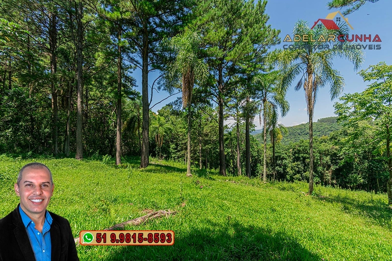 Chácara 2.6 hectares à VENDA em Três Coroas - RS : 36ª foto da galeria de imagens do imóvel
