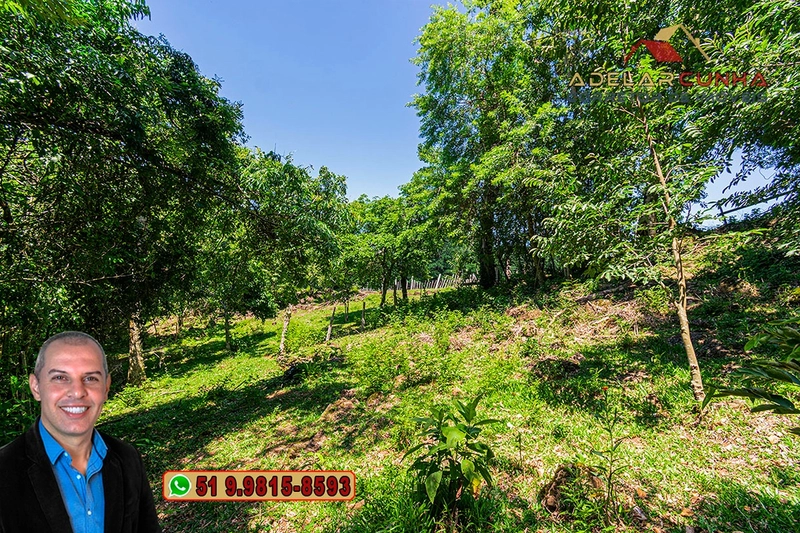 Chácara 2.6 hectares à VENDA em Três Coroas - RS : 19ª foto da galeria de imagens do imóvel