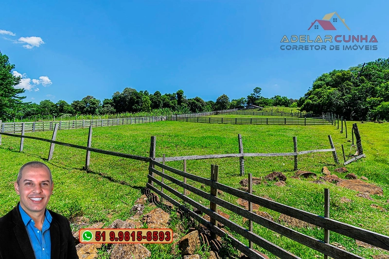 Chácara 2.6 hectares à VENDA em Três Coroas - RS : 25ª foto da galeria de imagens do imóvel